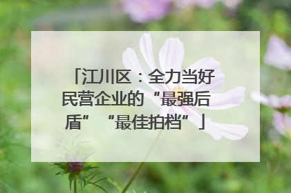 江川区：全力当好民营企业的“最强后盾”“最佳拍档”