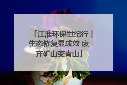 江淮环保世纪行｜生态修复显成效 废弃矿山变青山