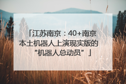 江苏南京：40+南京本土机器人上演现实版的“机器人总动员”