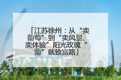 江苏徐州：从“卖葡萄”到“卖风景、卖体验”阳光玫瑰“葡”就致富路