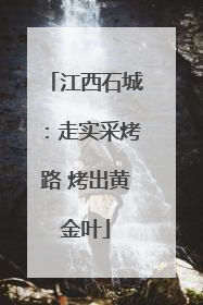 江西石城：走实采烤路 烤出黄金叶