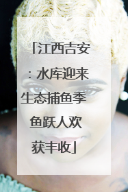 江西吉安：水库迎来生态捕鱼季 鱼跃人欢获丰收