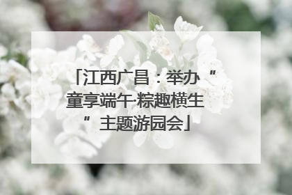 江西广昌：举办“童享端午·粽趣横生”主题游园会