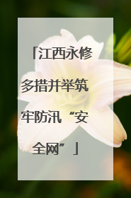 江西永修多措并举筑牢防汛“安全网”