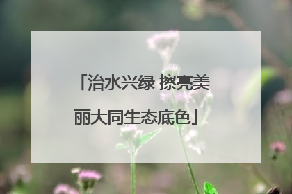 治水兴绿 擦亮美丽大同生态底色