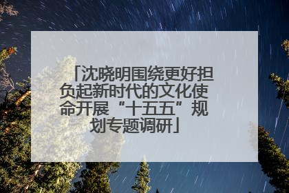 沈晓明围绕更好担负起新时代的文化使命开展“十五五”规划专题调研