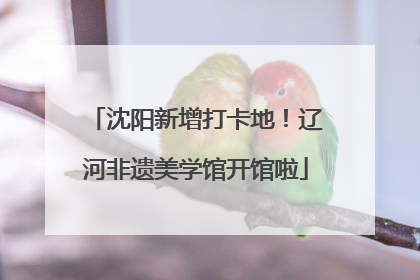 沈阳新增打卡地！辽河非遗美学馆开馆啦