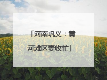 河南巩义：黄河滩区麦收忙
