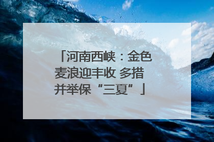 河南西峡：金色麦浪迎丰收 多措并举保“三夏”