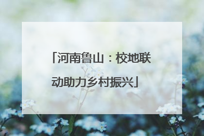 河南鲁山：校地联动助力乡村振兴
