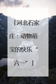 河北石家庄：动物萌宝的快乐“六一”