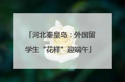 河北秦皇岛：外国留学生“花样”迎端午
