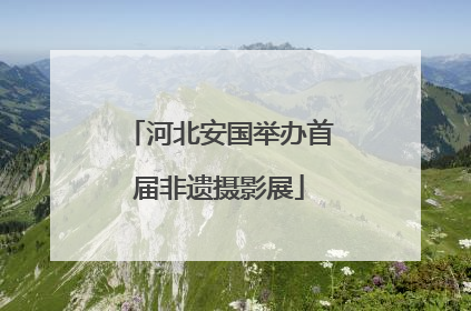 河北安国举办首届非遗摄影展