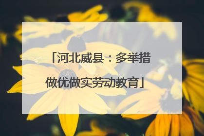 河北威县：多举措做优做实劳动教育