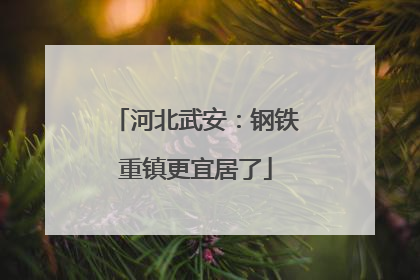 河北武安：钢铁重镇更宜居了