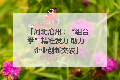 河北沧州：“组合拳”精准发力 助力企业创新突破