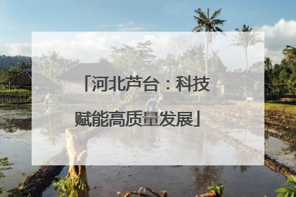河北芦台：科技赋能高质量发展