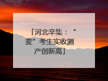 河北辛集：“麦”考生实收测产创新高