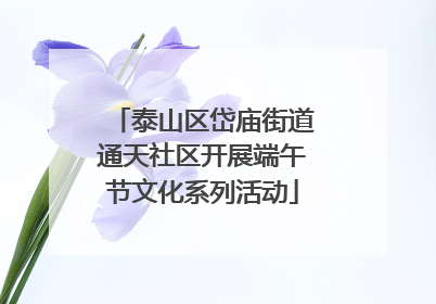 泰山区岱庙街道通天社区开展端午节文化系列活动