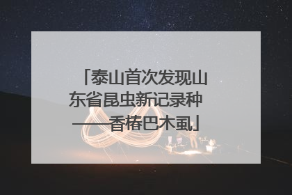 泰山首次发现山东省昆虫新记录种——香椿巴木虱