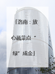 洛南：放心蔬菜点“绿”成金