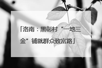 洛南：黑彰村“一地三金”铺就群众致富路
