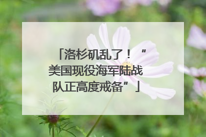 洛杉矶乱了！“美国现役海军陆战队正高度戒备”