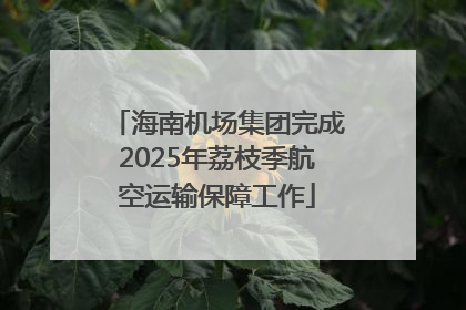 海南机场集团完成2025年荔枝季航空运输保障工作