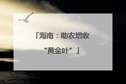 海南：助农增收 “黄金叶”