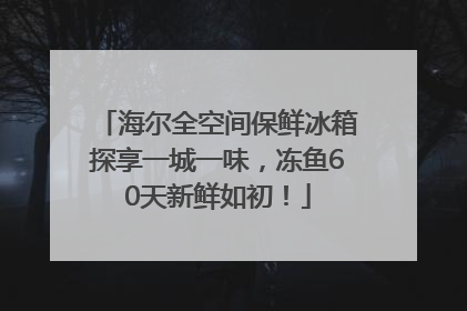 海尔全空间保鲜冰箱探享一城一味，冻鱼60天新鲜如初！