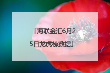 海联金汇6月25日龙虎榜数据