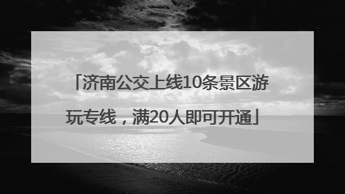 济南公交上线10条景区游玩专线，满20人即可开通