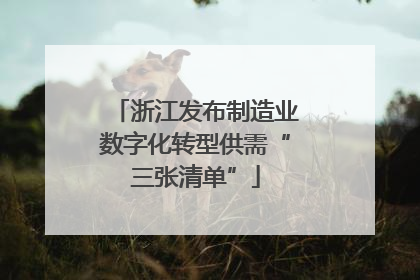 浙江发布制造业数字化转型供需“三张清单”