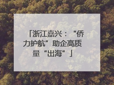浙江嘉兴：“侨力护航”助企高质量“出海”