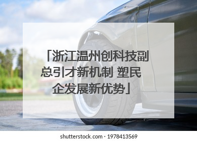 浙江温州创科技副总引才新机制 塑民企发展新优势