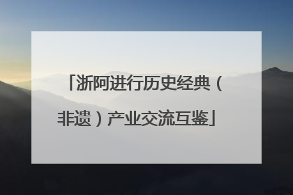 浙阿进行历史经典（非遗）产业交流互鉴