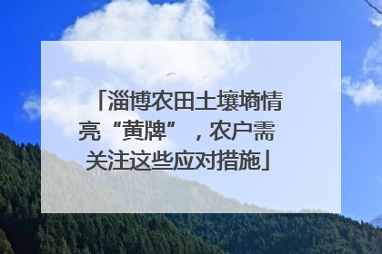 淄博农田土壤墒情亮“黄牌”，农户需关注这些应对措施
