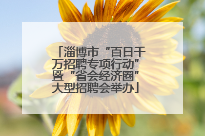 淄博市“百日千万招聘专项行动”暨“省会经济圈”大型招聘会举办