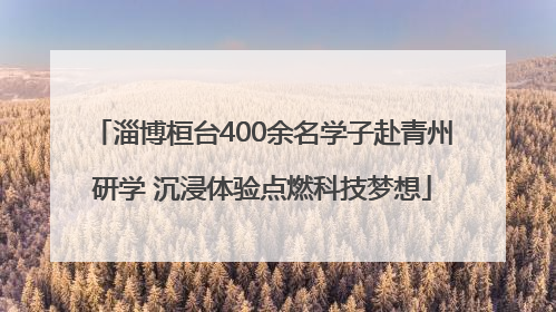 淄博桓台400余名学子赴青州研学 沉浸体验点燃科技梦想