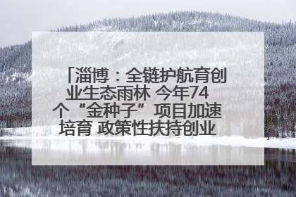 淄博：全链护航育创业生态雨林 今年74个“金种子”项目加速培育 政策性扶持创业9754人