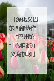 深化义巴东西部协作 “巴州馆”亮相浙江义乌机场