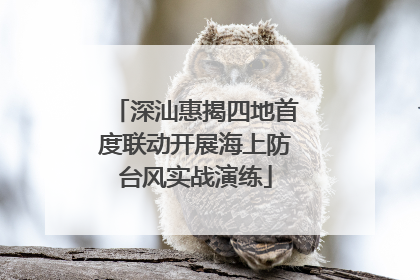 深汕惠揭四地首度联动开展海上防台风实战演练