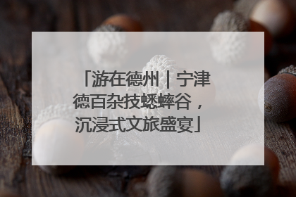 游在德州｜宁津德百杂技蟋蟀谷，沉浸式文旅盛宴