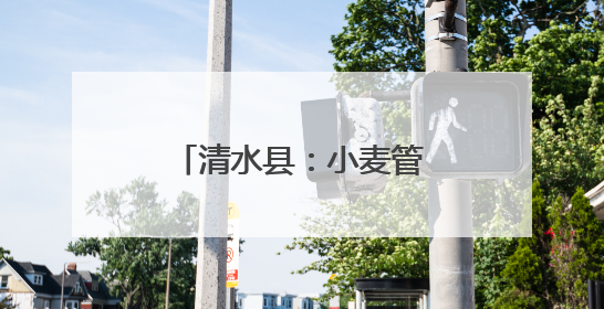 清水县：小麦管理正当时 守护粮“芯”绘丰景