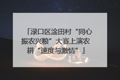 渌口区淦田村“同心振农兴粮”大赛上演农耕“速度与激情”