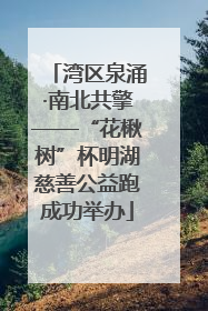 湾区泉涌·南北共擎——“花楸树”杯明湖慈善公益跑成功举办
