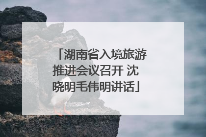 湖南省入境旅游推进会议召开 沈晓明毛伟明讲话