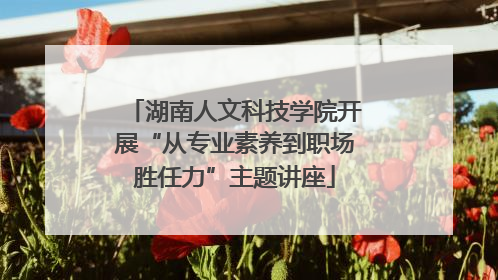 湖南人文科技学院开展“从专业素养到职场胜任力”主题讲座