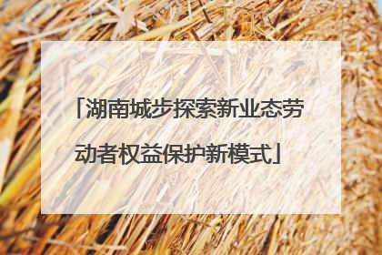 湖南城步探索新业态劳动者权益保护新模式