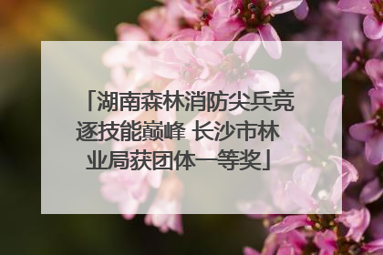 湖南森林消防尖兵竞逐技能巅峰 长沙市林业局获团体一等奖